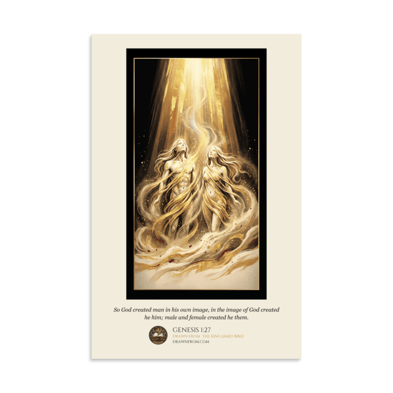 Genesis 1:27 — Enhanced Matte Paper Poster