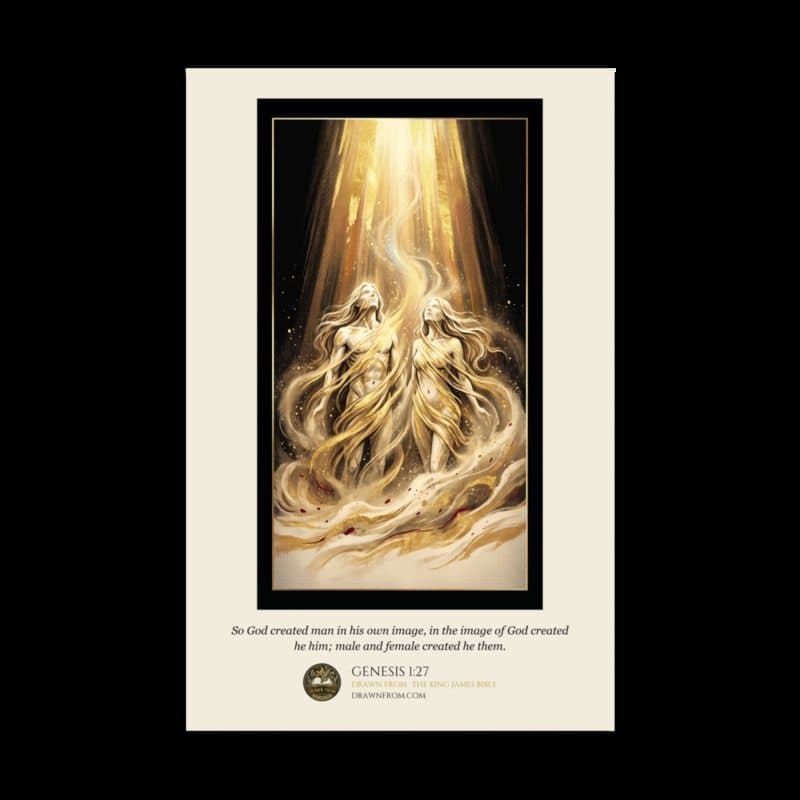 Genesis 1:27 — Enhanced Matte Paper Poster